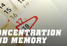 Συγκέντρωση και Μνήμη: 5+1 Τροφές που βοηθούν