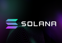 Είναι το Solana η visa των κρυπτονομισμάτων;