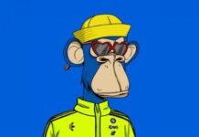 Bored Ape Yacht Club NFT, τι είναι ;